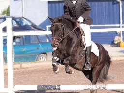 IMG_6991_web